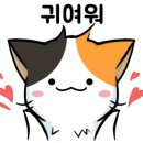 구름동물병원 이미지