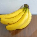 바나나짐 이미지