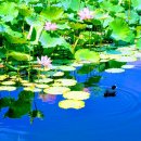 웰리치공인중개사사무소 이미지