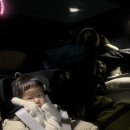 신일농장 | 화성 반달곰이 살던숲 _겨울 장박 시작 !_쿠디 그레이 색상 후기