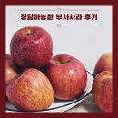 정 농원 | 부사사과 품종 달콤한 정담아농원 사과 후기