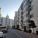 영화아파트 이미지