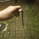 참존농장 | 휘모리장단 속 초보 장돌뱅이의 삶이란..