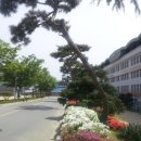 익산고등학교 이미지