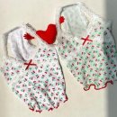 애견의숲 이미지