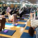 생활 요가 이미지