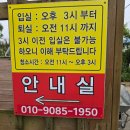 천국 | 태안 해루질 펜션 여행천국펜션 이용후기! 장비대여 가능