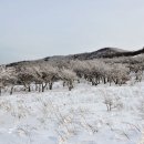 인제02-1 이미지