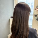 강남역미용실 | 20대 대학원생, 통통한 얼굴형 보완에 좋은 레이어컷, 연화 디지털 셋팅펌 후기