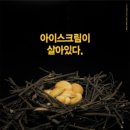 맥스(MAX)비어 이미지