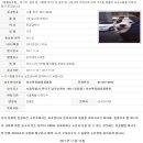 용산종합동물병원 이미지