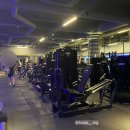 육체미 휘트니스 이미지