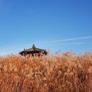 경희금강한의원 이미지