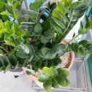 평택은산공인중개사사무소 이미지