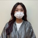 퍼플로보 이미지