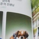 서당개 Daum카페