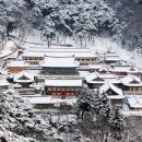 해인사소방서 이미지