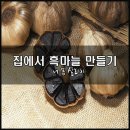 ◑ 집에서 흑마늘 만들기 ◑ 이미지