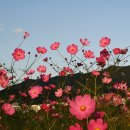 별님과바다 이미지