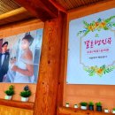 행진결혼정보 이미지