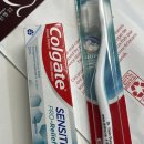 덴탈플랜 치과기공소 | [🇨🇦] 캐나다 무료 치과보험 CDCP 신청하기 / 무료 스케일링 및 검진 후기