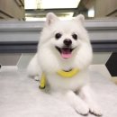 웨그앤코 이미지