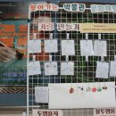 명지대학교박물관 | 용인 명지대학교 박물관_국보 제244호 초조본 유가사지론 권 17, 흙을 빚어 삶을 담다