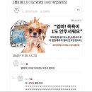 천안종합화장품 | R14 천안아산전 | 엄마 저 더이상 아무것도 무섭지 않아요