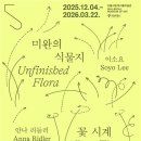식물지인 네이버블로그