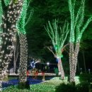 별빛마을 이미지