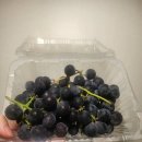 그린나래어린이집 이미지