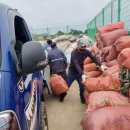 성산읍-3 이미지