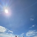 세부 호핑투어 후기(고민된다면 이글 참고하세요)