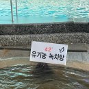 대하사우나 이미지