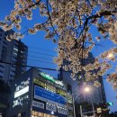 스마트국영수 이미지