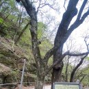 카페아낙466 네이버블로그