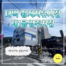 광산로 제1공영주차장 | [태백 황지자유시장 주차장] 제1공영주차장 후기 / 황지연못