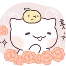 케이탑태권도 이미지