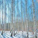 겨울여행 이미지