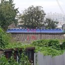 남중동-29 이미지