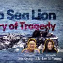 Dokdo Sea Lion - A History of Tragedy 이미지