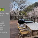 아포레 힐 이미지