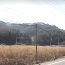 홍천천 이미지