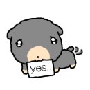 리가플스방 이미지