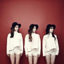 혜성유한회사 이미지