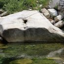 금수산식당 이미지