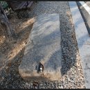 회덕동주민센터 이미지