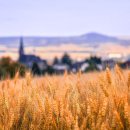 왕도매식자재마트 이미지