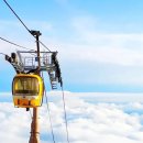 피그말리온 이미지