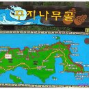 4월 17일 (일) 정기산행 (충남 태안반도 솔향기 바닷가 둘레길 ) 이미지